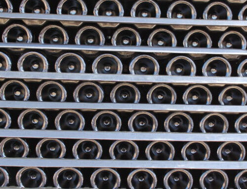 Todos los detalles sobre la elaboración del vino Cima Mazacruz