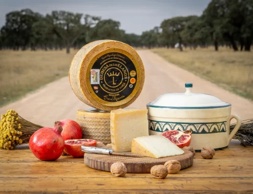 Maridaje de Queso Manchego: vinos, frutas y acompañamientos perfectos.