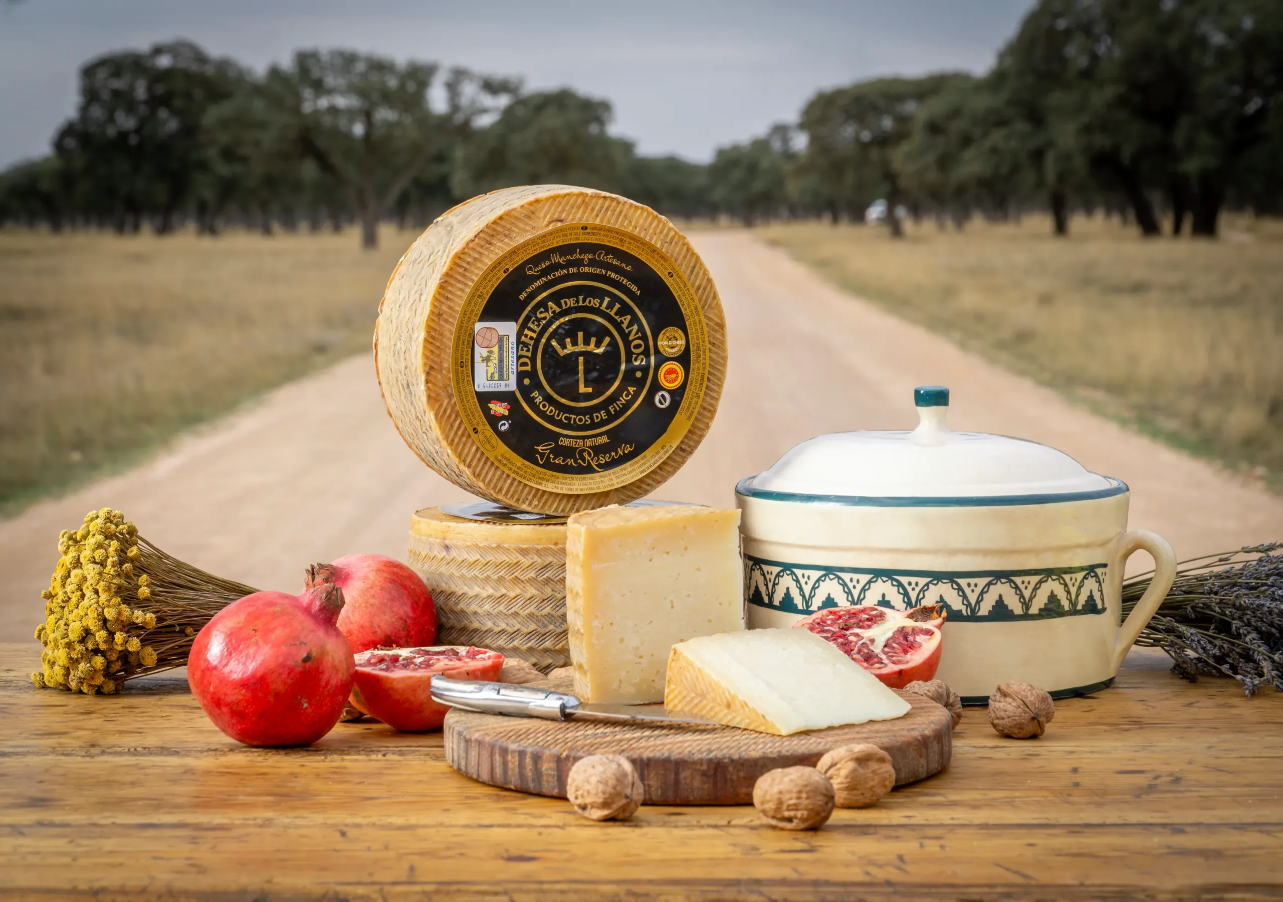maridaje del queso manchego - Guía 2026