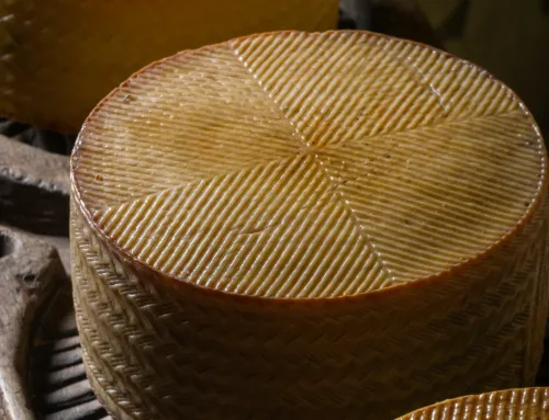Tipos de queso: guía completa y cómo elegir el mejor