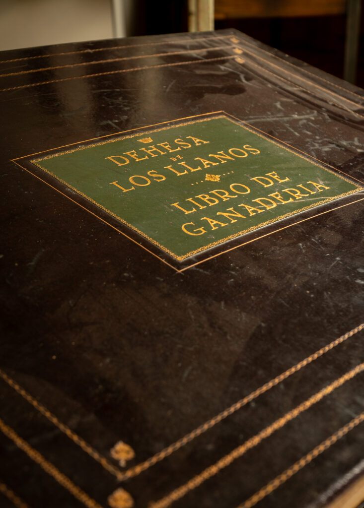 la ganadería de Dehesa de los Llanos cumple 125 años